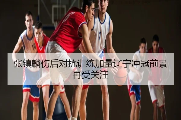 张镇麟伤后对抗训练加量辽宁冲冠前景再受关注